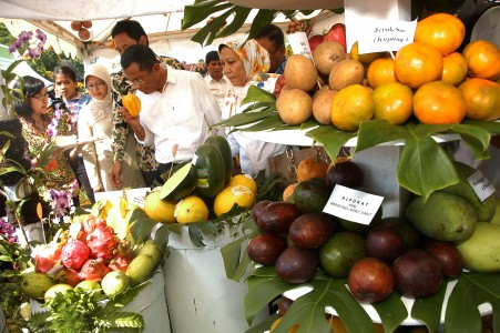 Badan Pangan Bantul Tuding Buah Berformalin Ulah Pengepul