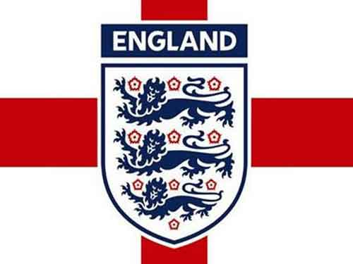 Hodgson Minta Pendukung Inggris Hormati Timnas Irlandia