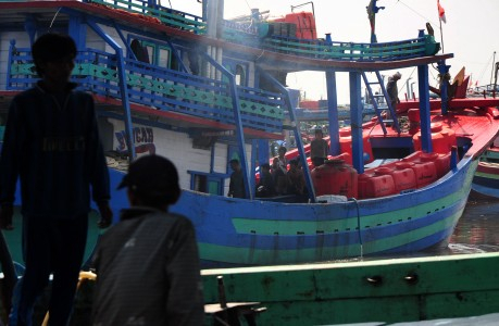 Kemenhub Berharap DPR Setujui Anggaran Pengadaan Kapal Pengangkut Ternak