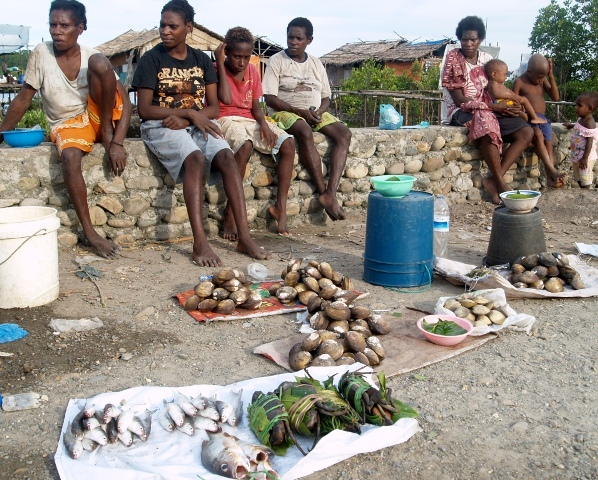 Pencairan Dana Otsus Papua Masih Tunggu Perdasi
