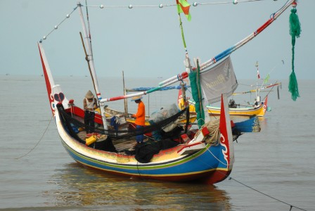 Pemerintah Diminta Tetapkan 11 Wilayah Larangan Tangkap Ikan