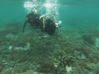 Lombok Tengah Bangun Konservasi Perairan