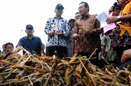 Menteri Pertanian Pastikan Subsidi Pupuk Berlanjut