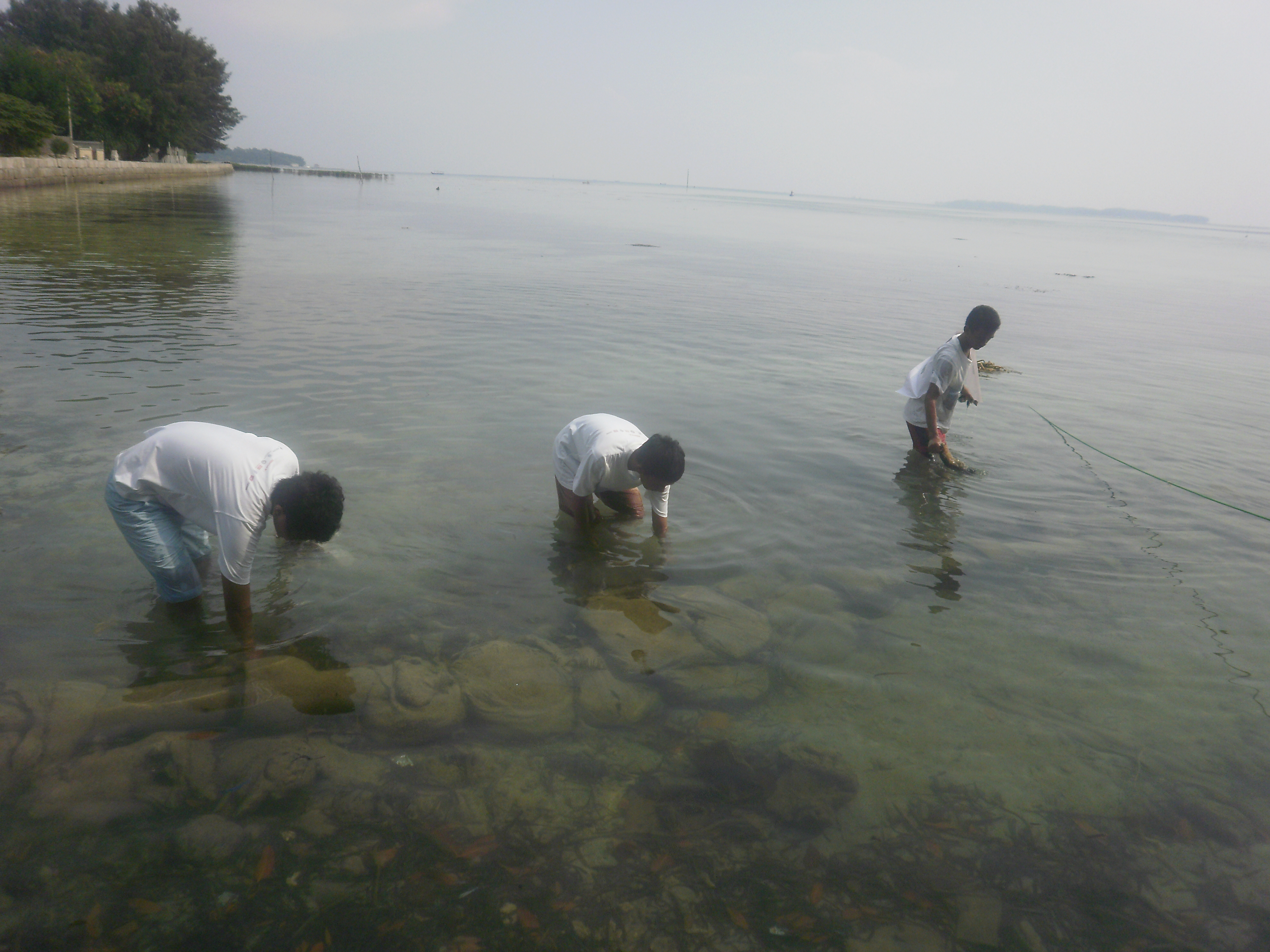 Yuk Selamatkan Ikan Lewat Adopsi Karang!