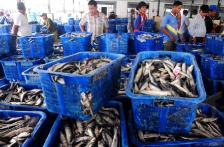 Nelayan Tolak Rencana Penaikan BBM