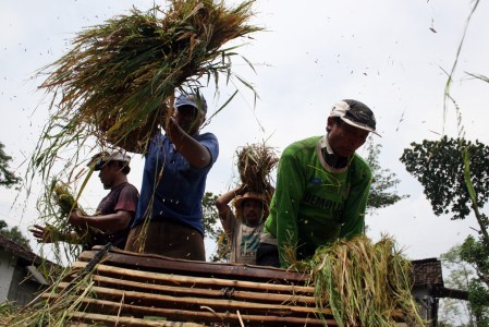 Harga Beras Mamasa Sulbar Naik