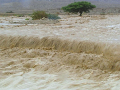 Butuh Rp4 Triliun untuk Tanggulangi Banjir Malaka Barat NTT