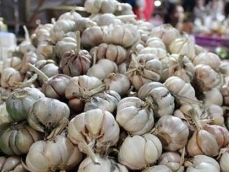 Sidang Perdana Kartel Bawang di KPPU Digelar Akhir Juni