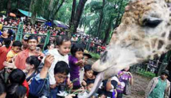Liburan Murmer di Ragunan