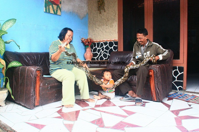 Ruliati, Perempuan Rembang yang Jadi Pawang Ular