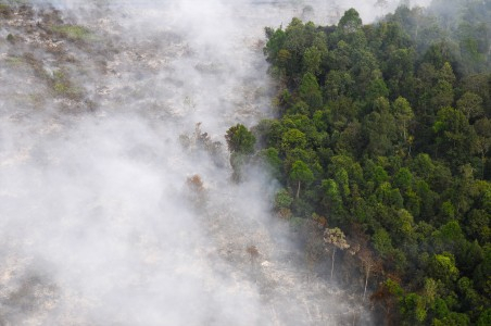 Jumlah Penderita ISPA di Bengkalis dan Dumai Meningkat Drastis