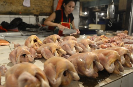 Kemendag Bakal Tarik Ayam Potong Ilegal Asal Cina
