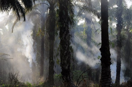 Kabut Asap Riau, KLH Selidiki Keterlibatan Perusahaan Besar