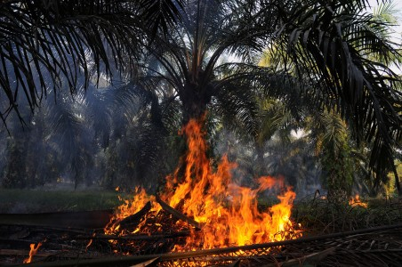 BNPB Terjunkan Ribuan Personil Atasi Kebakaran Hutan Riau