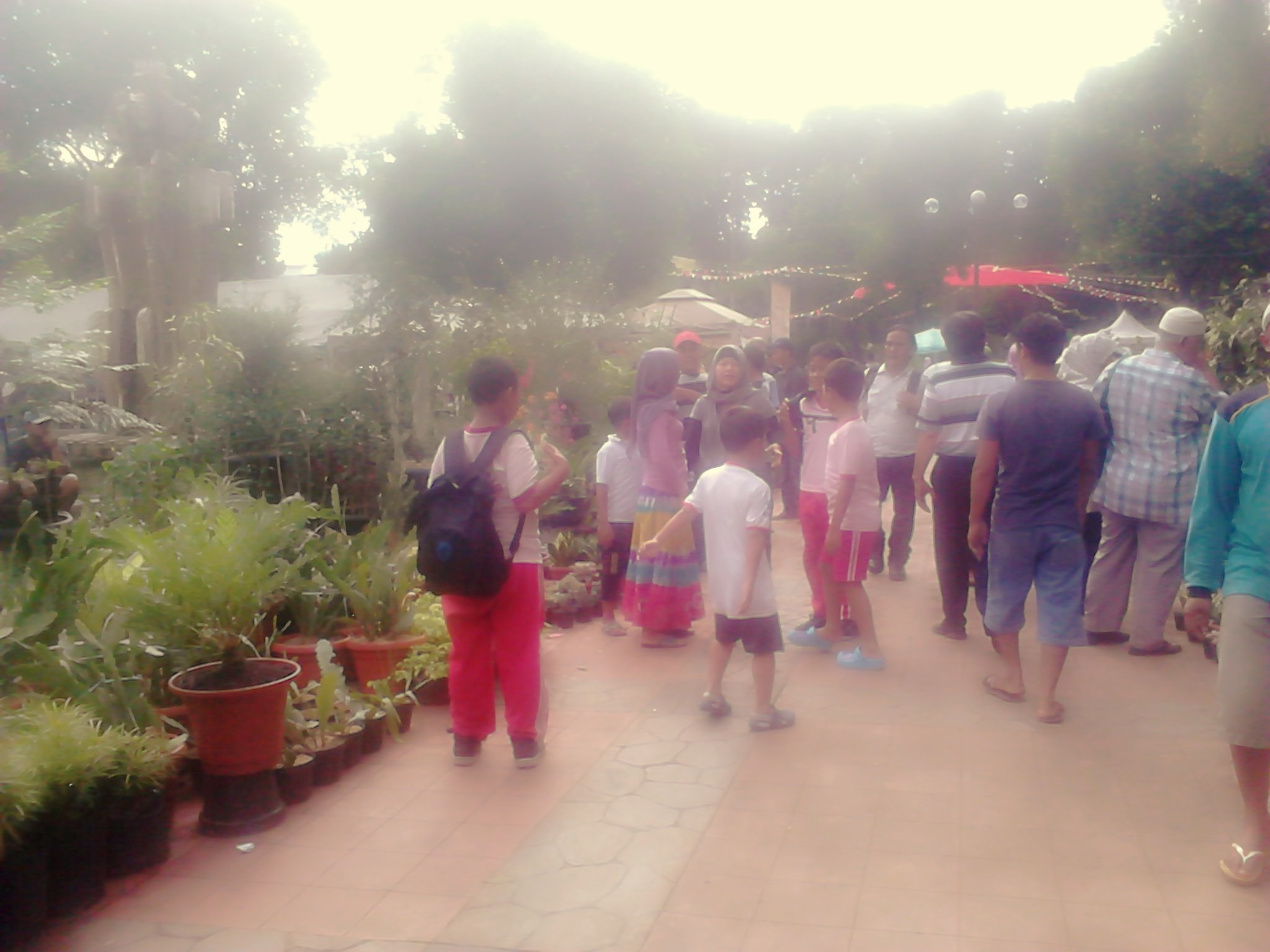 Berlibur Seru di Pameran Flora dan Fauna