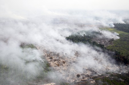 Pemerintah Godog Kebijakan Satu Pintu Tuntaskan Kebakaran Hutan