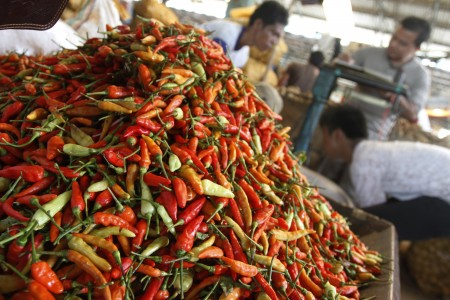 Petani Keberatan Pemerintah Impor Cabai 10 ribu Ton