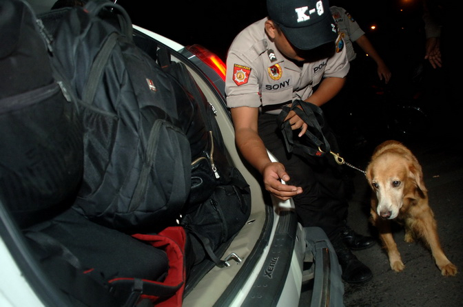 Anjing Pelacak Narkoba Dikerahkan di Perbatasan NTT-Timor Leste