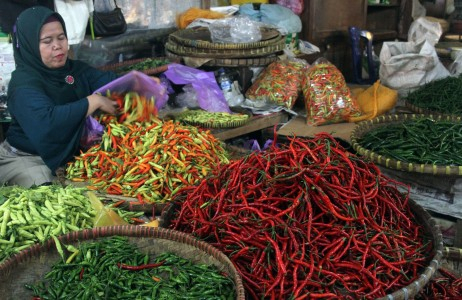 Cabai Melonjak, Pemerintah Harus Cek Harga Impornya