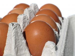 Telur Disulap Jadi Replika Pesawat