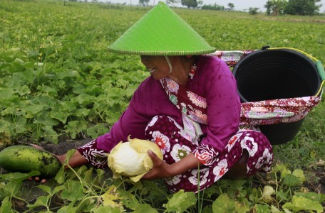 Hak Tanah untuk Petani Belum Diatur di UU