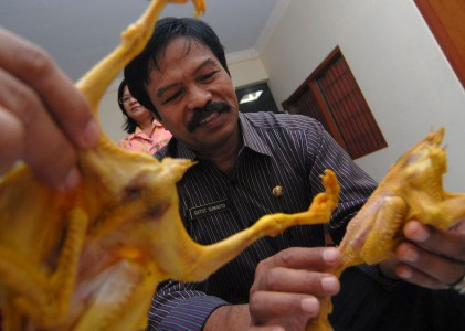 Ayam Tiren Marak Beredar di Jombang