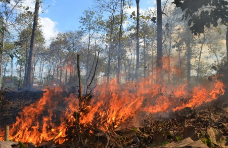 Jumlah Hotspot di Sumatera Lebih dari 260