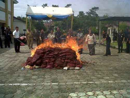 Aceh Bakar Bawang Selundupan dari Malaysia
