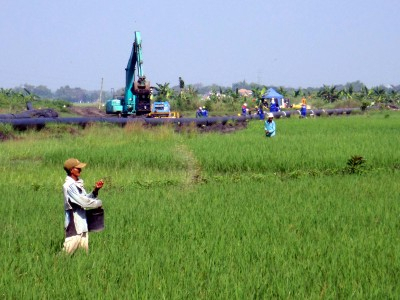 Bakal Ada Desa Mandiri Pangan di Bantul