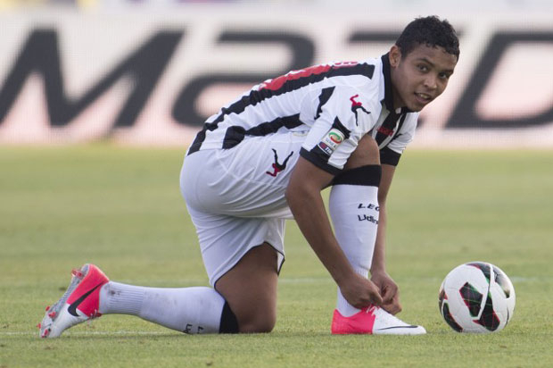 Luis Muriel Calon Kuat Pengganti Rooney