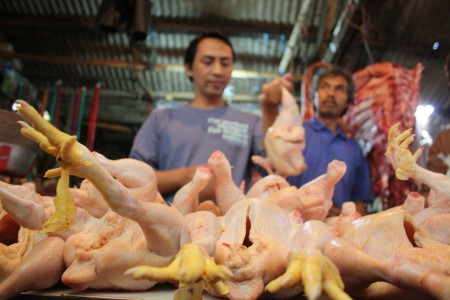 Ini Penyebab Mahalnya Harga Ayam di Hari Kedua Lebaran