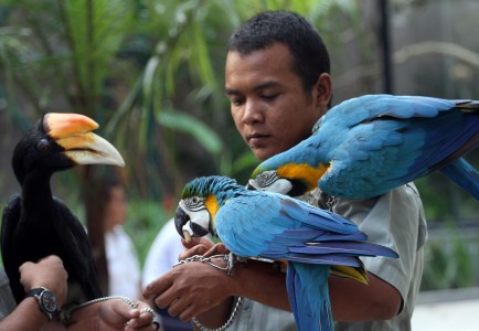 Gelang, Cegah Anak Hilang di Lokasi Wisata