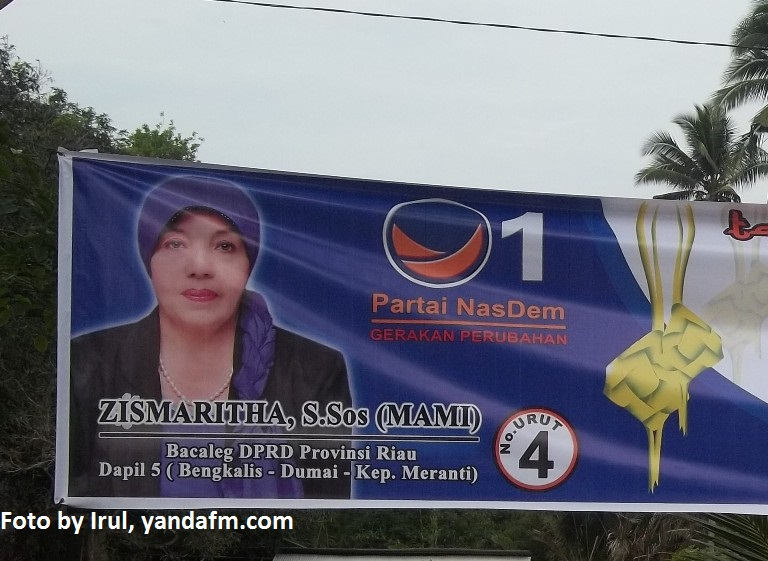 Jelang Pemilu 2014, Ini Keluhan Bawaslu pada Parpol