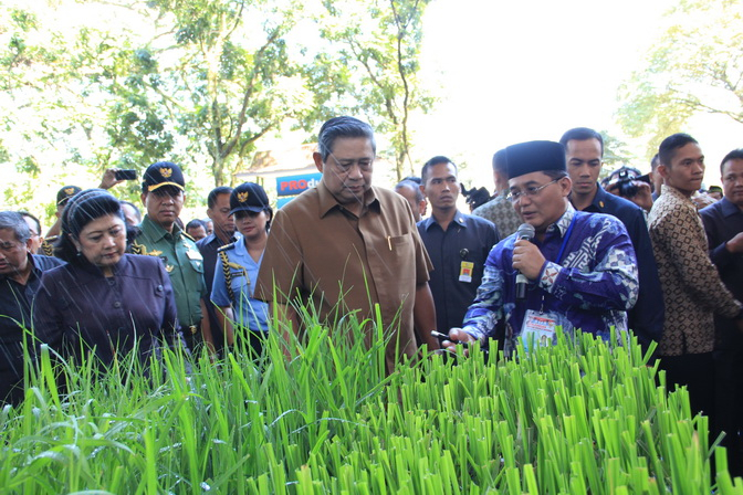 Gangguan Cuaca, Produksi Gula di Jateng Terancam Anjlok