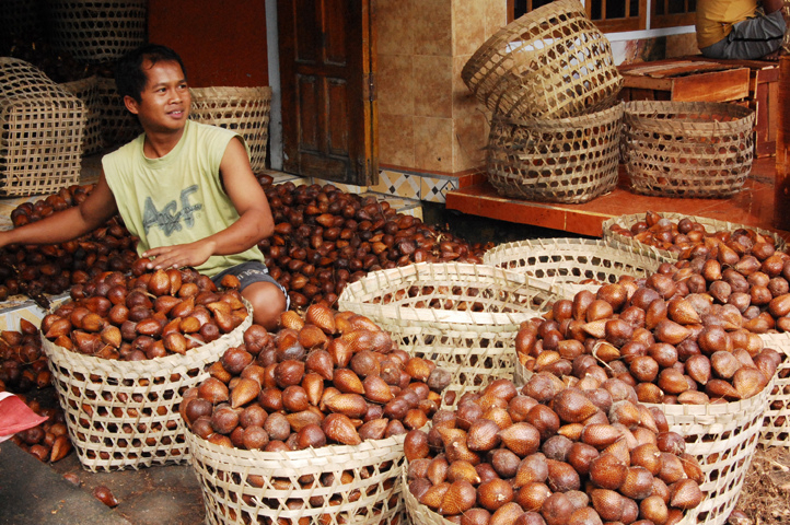 Pentingnya Hak Paten Salak Pondoh asal Sleman