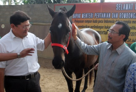 Mentan: Petani Hanya Kelola Lahan 0,3 Hektar
