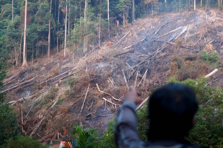Papua Masih Butuh 150-an Tenaga Polisi Hutan