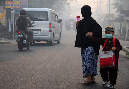 Penanganan Kebakaran Hutan di Riau Tidak Efektif