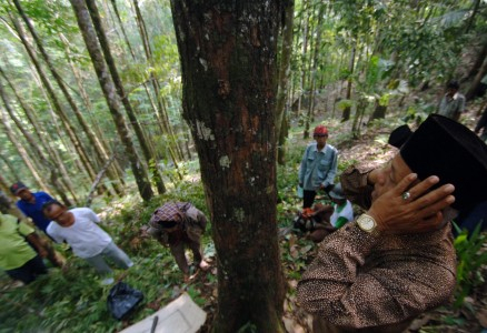 Verifikasi Peta Hutan Adat Selesai Akhir Tahun Ini