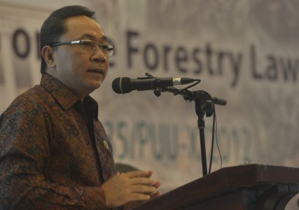 Kurang Sosialisasi, Dana Modal Kelola Hutan Desa Tak Terserap