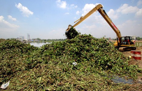 Jokowi: Taman Ria Rio Dibangun November