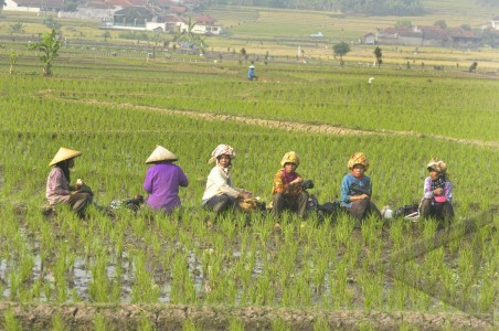 Perbaikan Jalur Irigasi Persawahan Jadi Prioritas