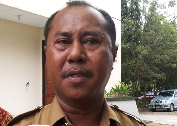 Hama Kakao Merebak, Begini Keluhan Dinas Perkebunan Papua