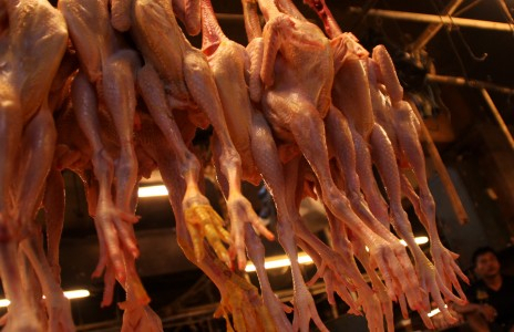 Pedagang Ayam di Jabar Minta Harga Segera Distabilkan