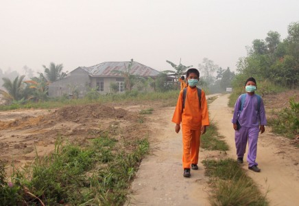 Dirjen PHKA: Jumlah Titik Api di Riau Berkurang