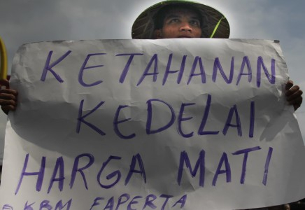 Jalan Pintas Menekan Harga Kedelai