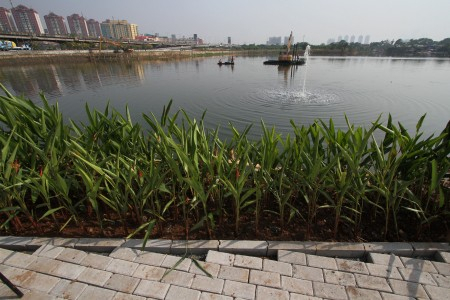 Akhirnya, Warga Sekitar Waduk Ria Rio Mau Pindah