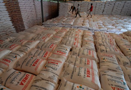 Penghapusan Subsidi Pupuk Menuai Protes