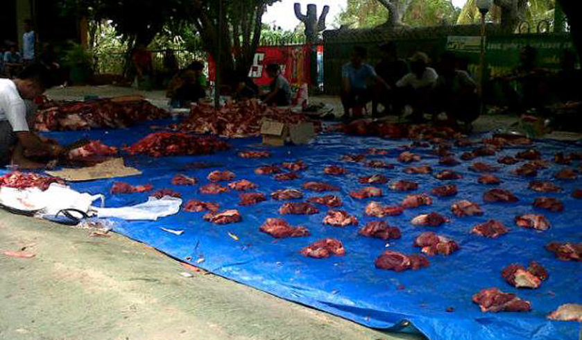 Idul Adha, Saat Berbagi dengan Umat Lain