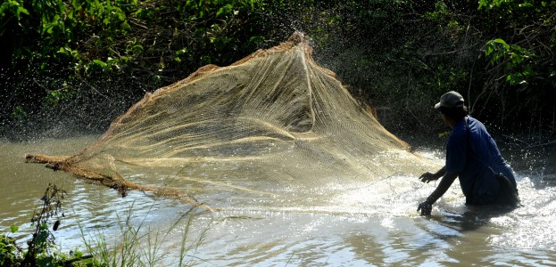 Ikan di Bantul Diduga Diracun